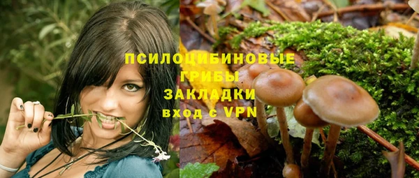 трава Абдулино