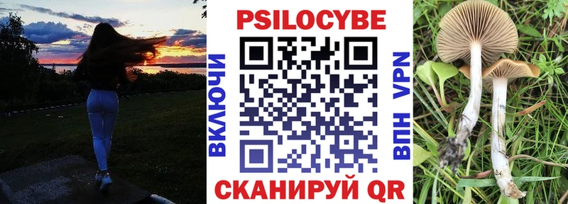 ссылка на мегу как зайти хочу даркнет какой сайт Псилоцибиновые грибы MAGIC MUSHROOMS Карасук