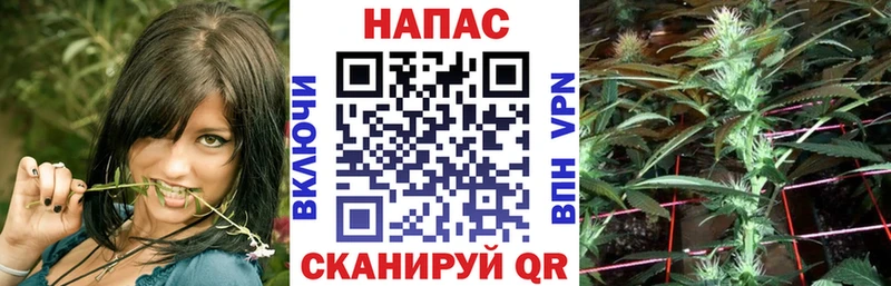 Конопля Bruce Banner  цены   hydra зеркало  Карасук 